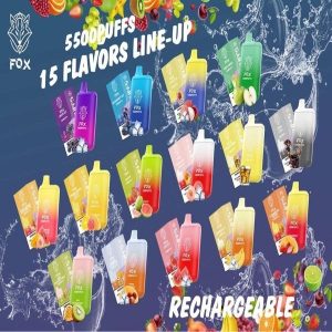 Fox Pod - Pod 1 Lần 5500 Hơi